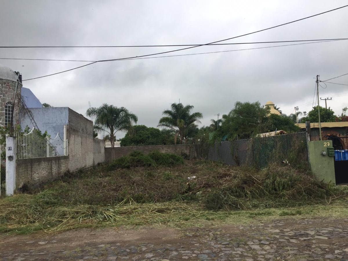 2 de 7