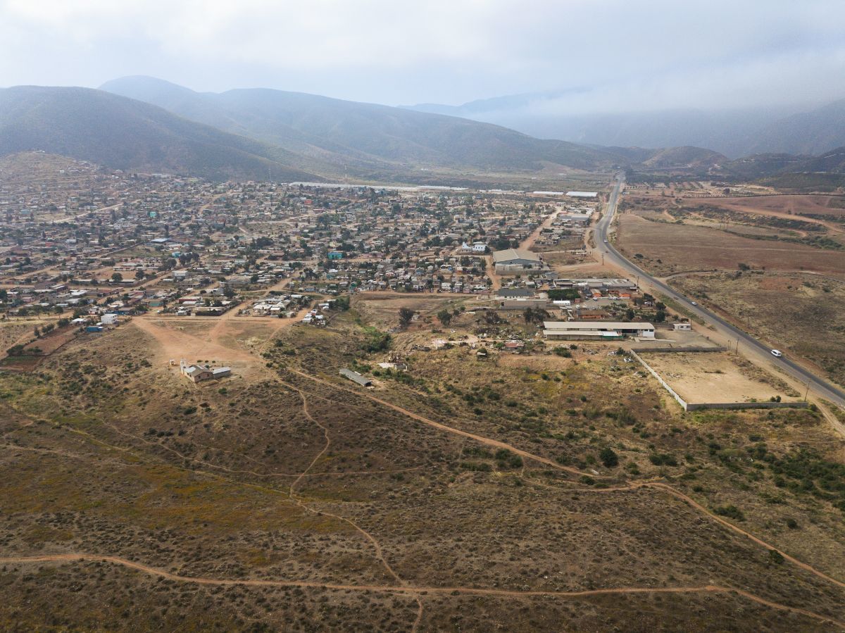 4 de 24
