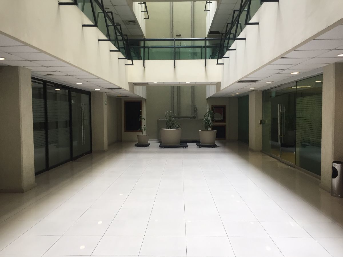 9 de 30: puertas de cristal y luz natural en todas las oficinas