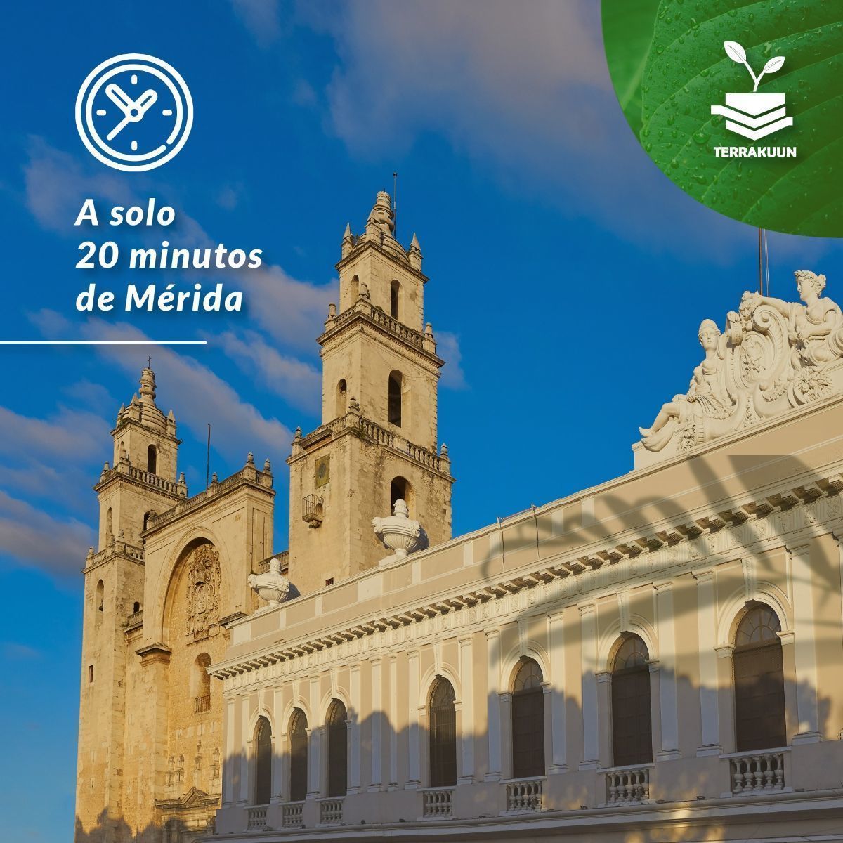4 de 7: Zona de mayor crecimiento