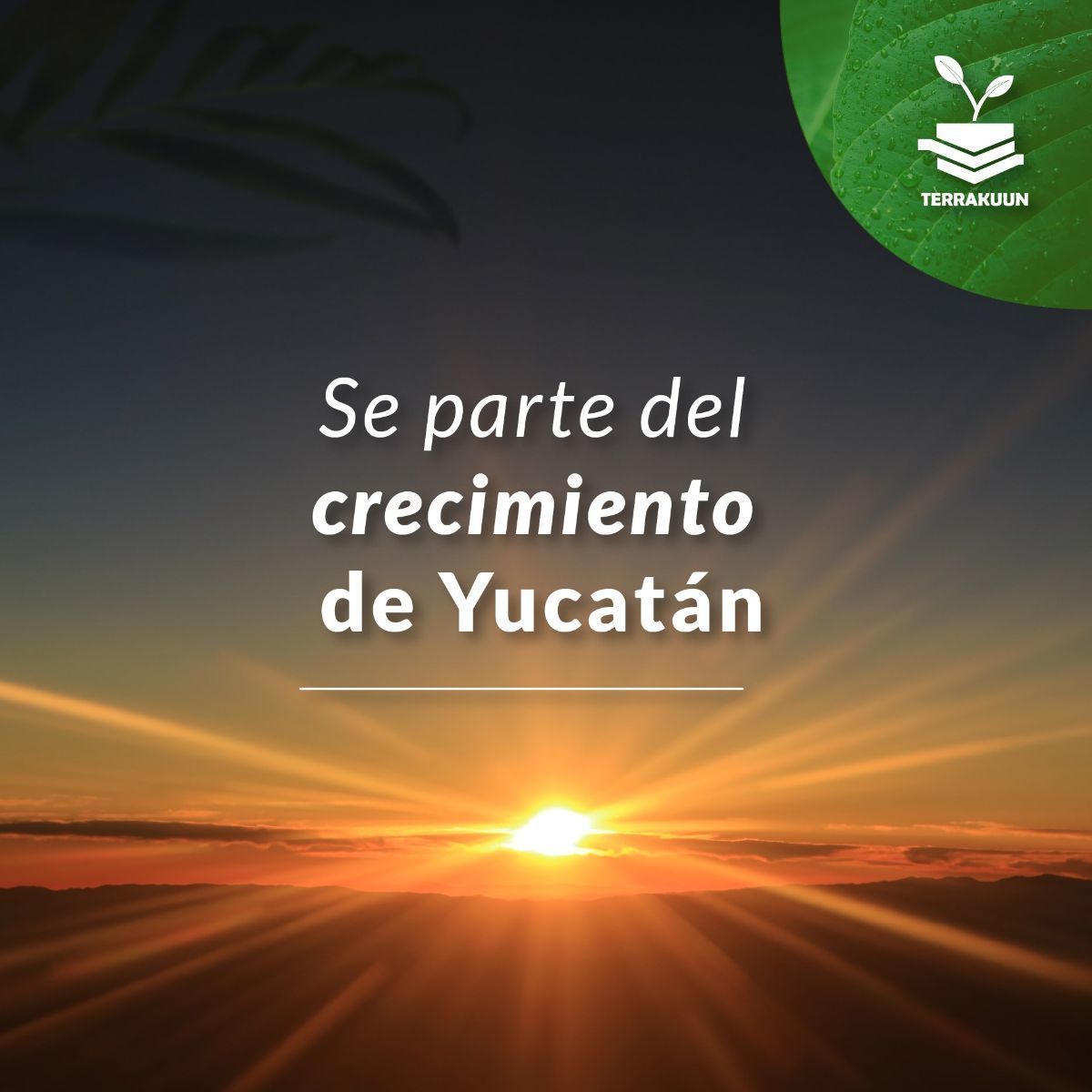 5 de 7: Zona de mayor crecimiento