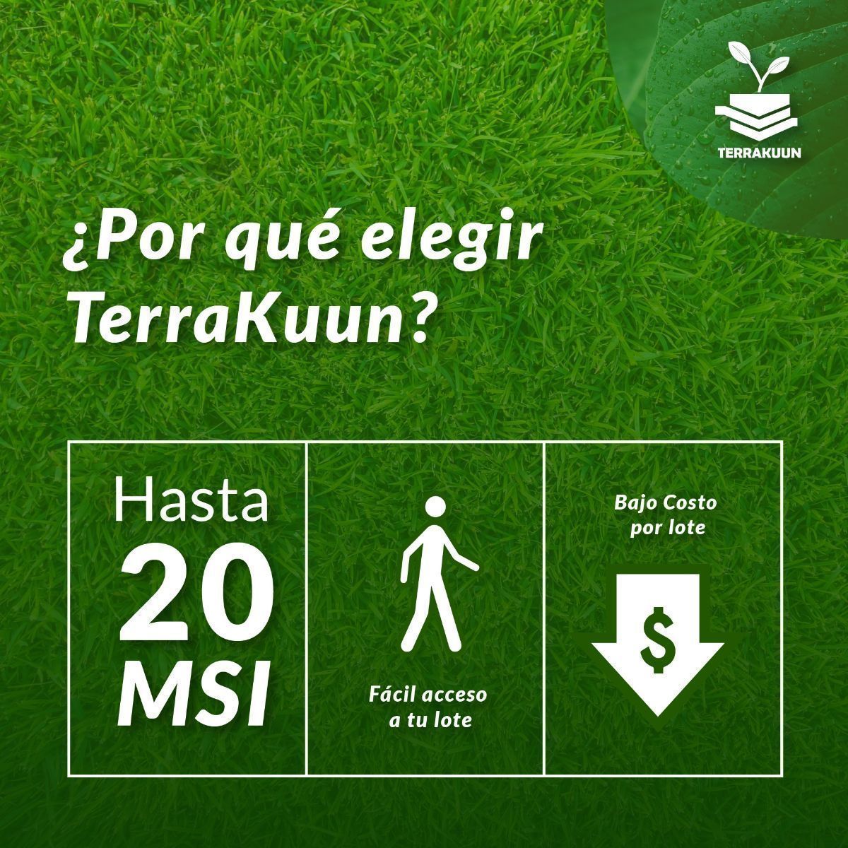 7 de 7: Meses sin intereses