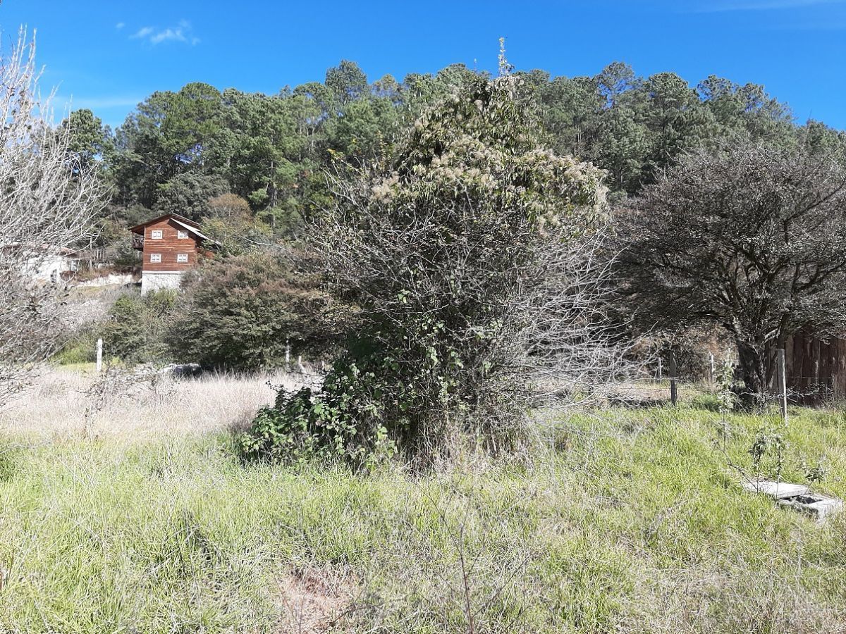 3 de 4