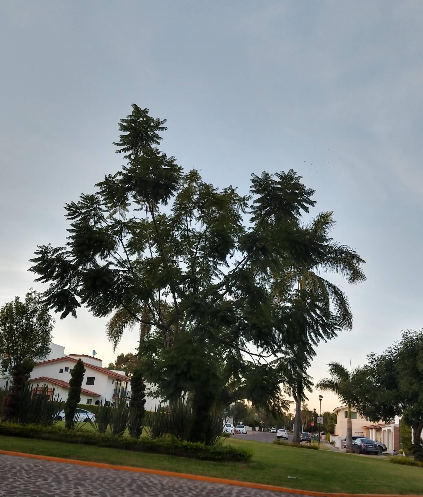 4 de 5