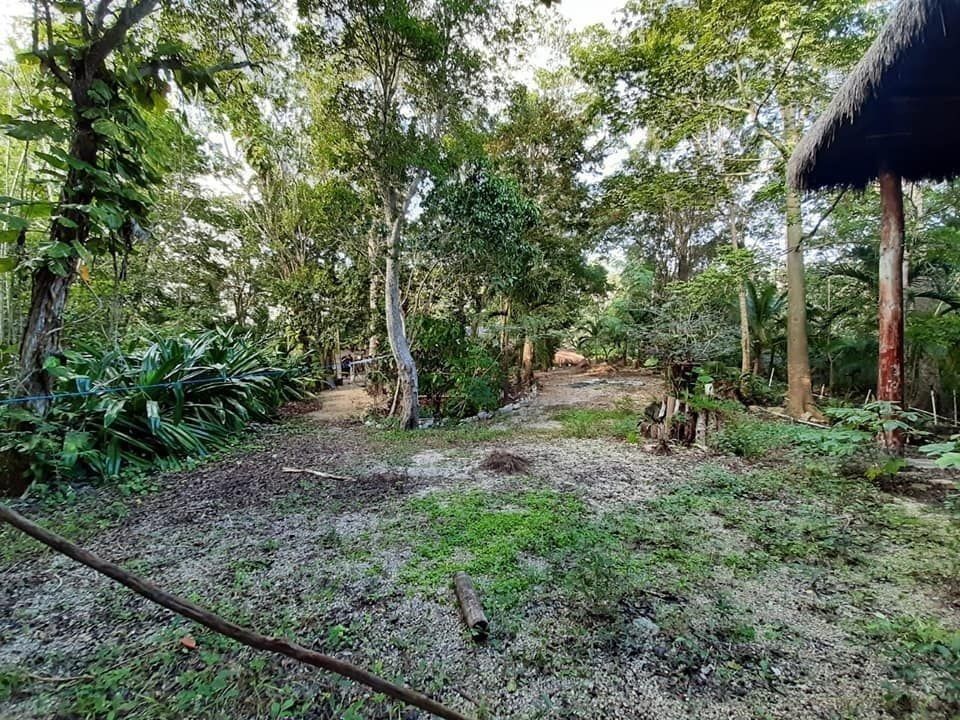 10 de 19: www.BejaranoRE.com - Hotel en Venta - Tulum, Quintana Roo