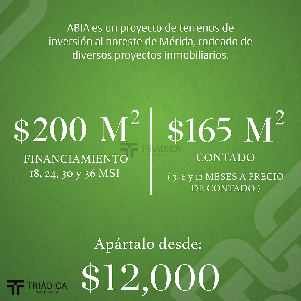 4 de 15: Precios especiales de contado