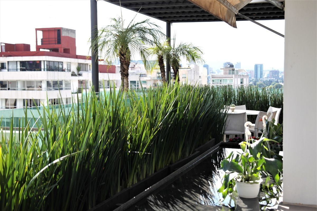 6 de 37: CARMEN-LABORIN-RENTA-LUJO-POLANCO-PH-RENT-CONDO-FURNISHED