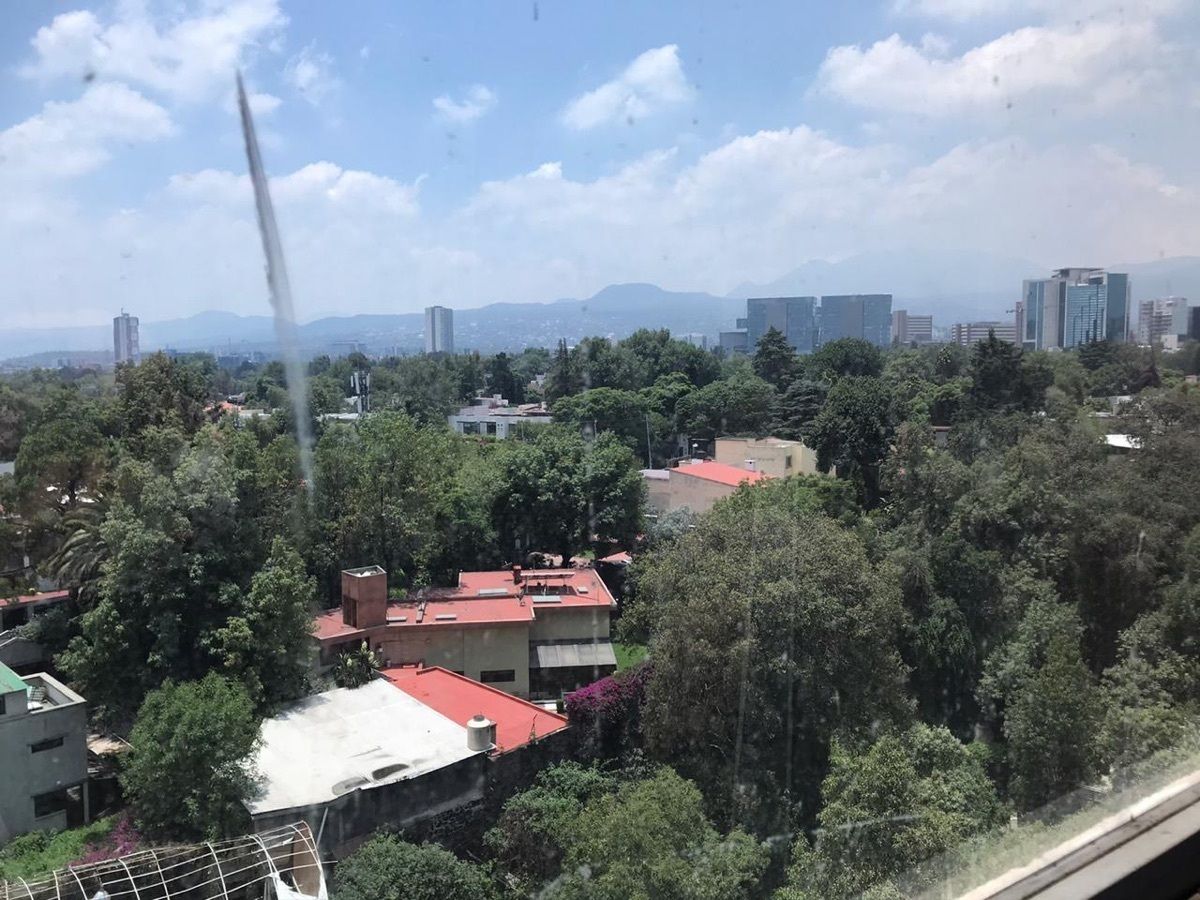 Oficina en Jardines del Pedregal, Álvaro Obregón, foto 8 de 19