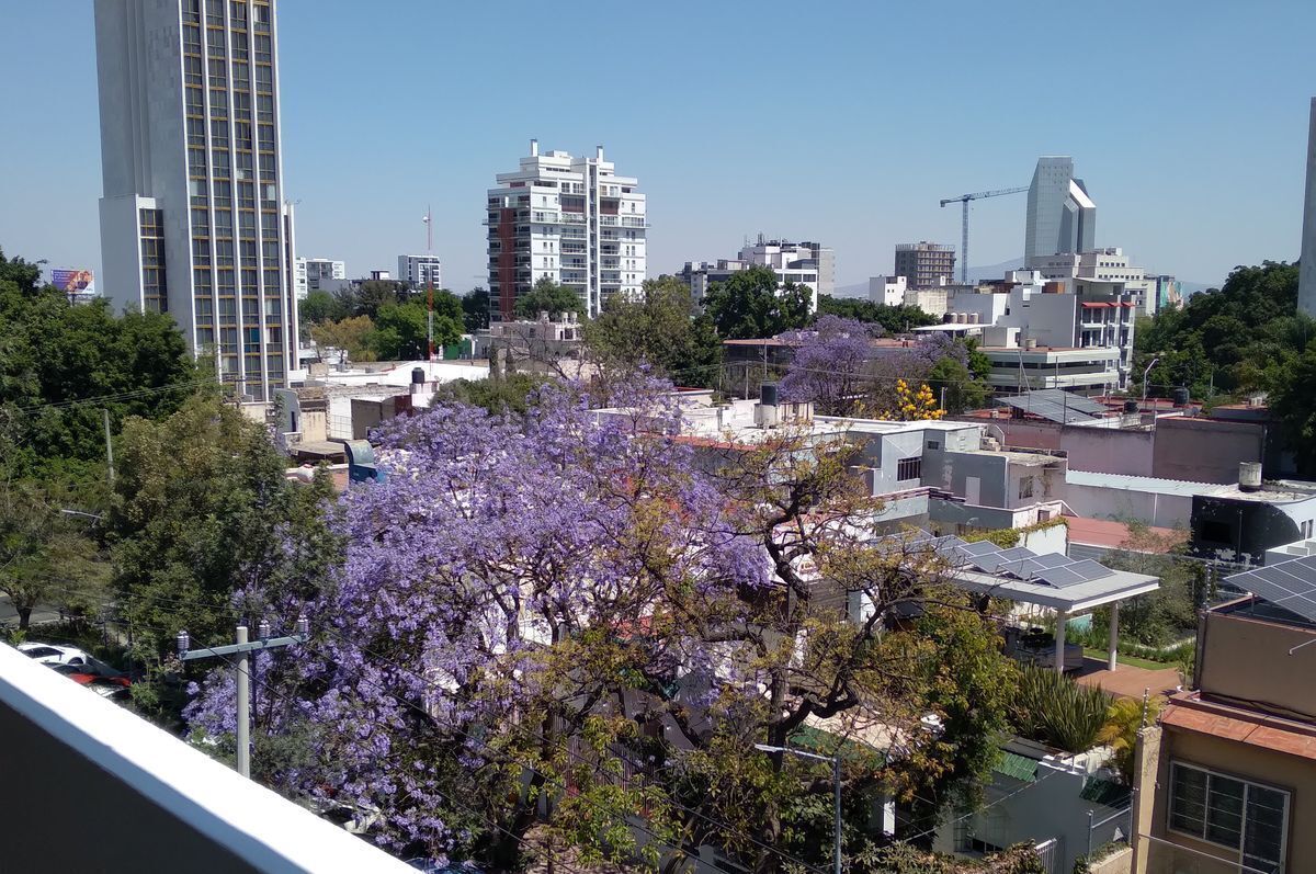 5 de 12