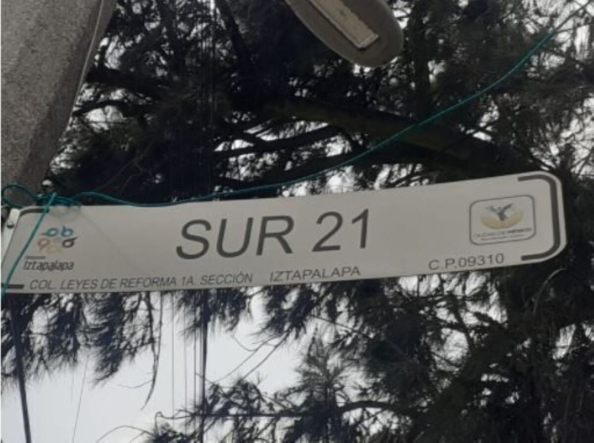 3 de 12