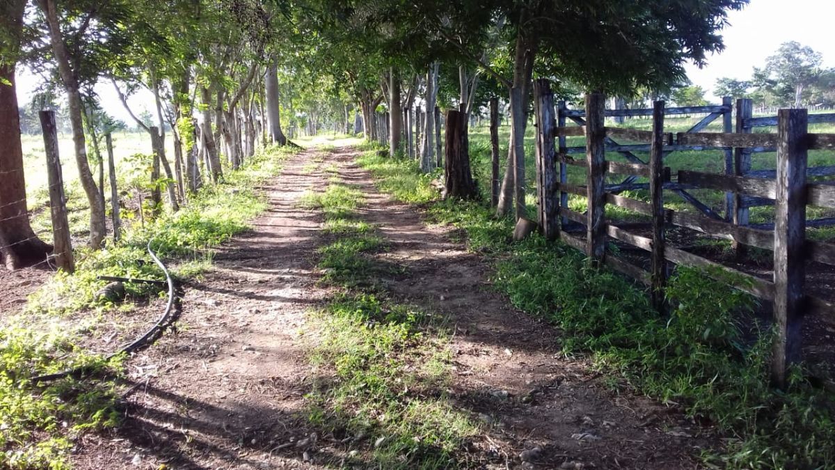 Rancho 140 Hectáreas. Escárcega Campeche