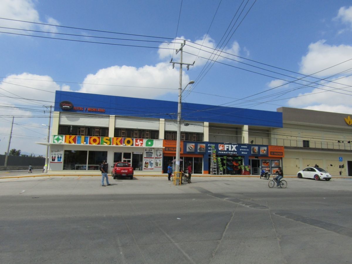 5 de 6
