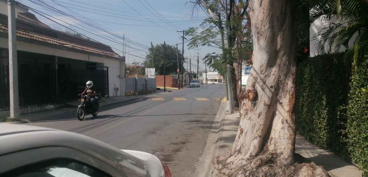 4 de 6