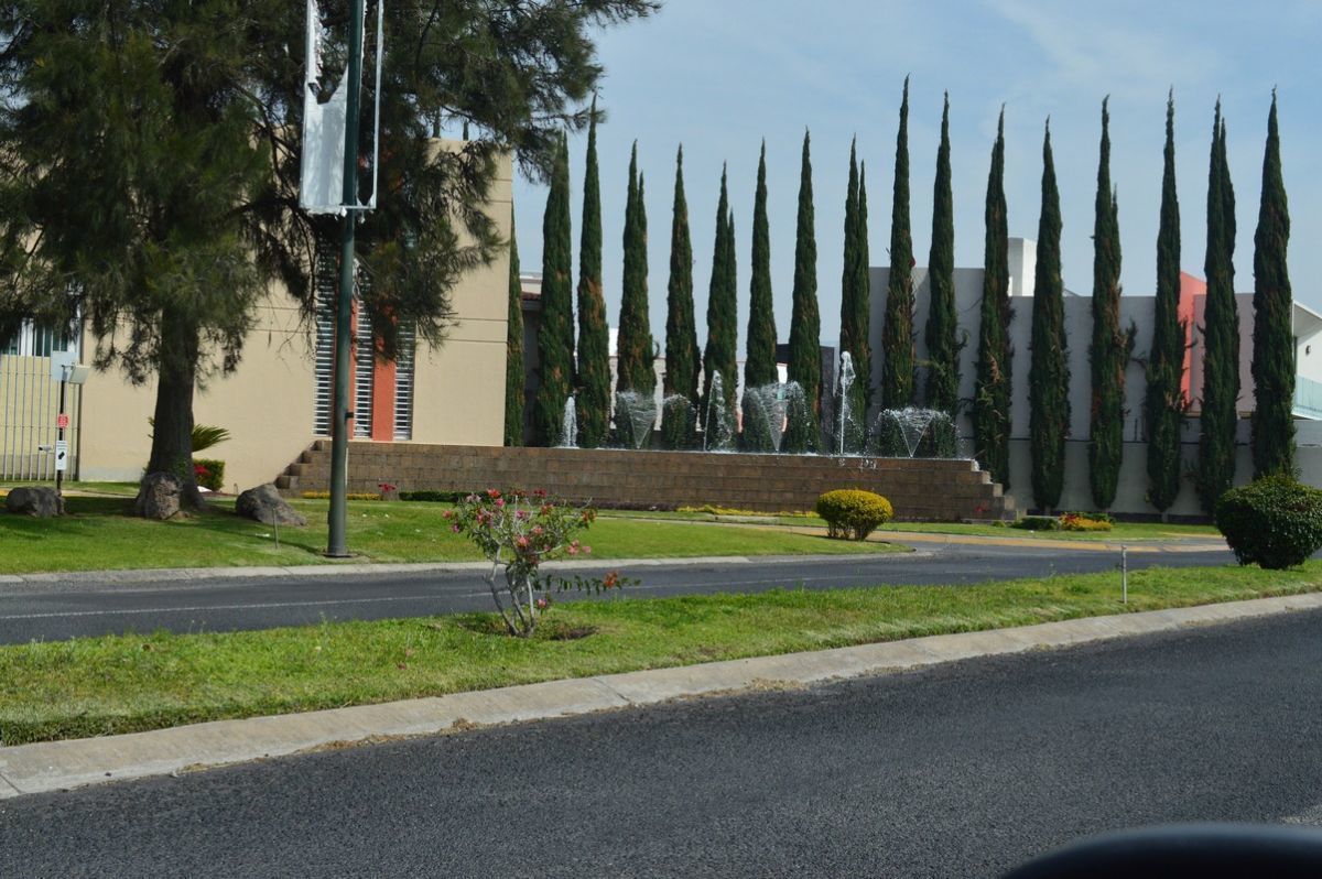 3 de 44