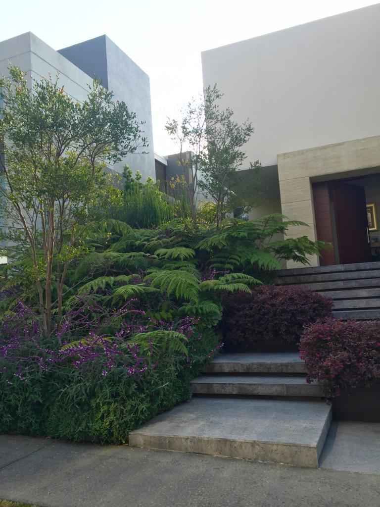 3 de 38: Acceso Principal