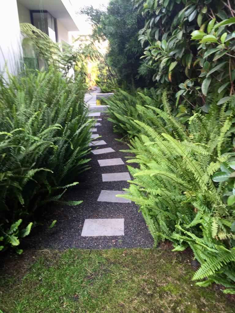 2 de 38: Acceso al Jardín