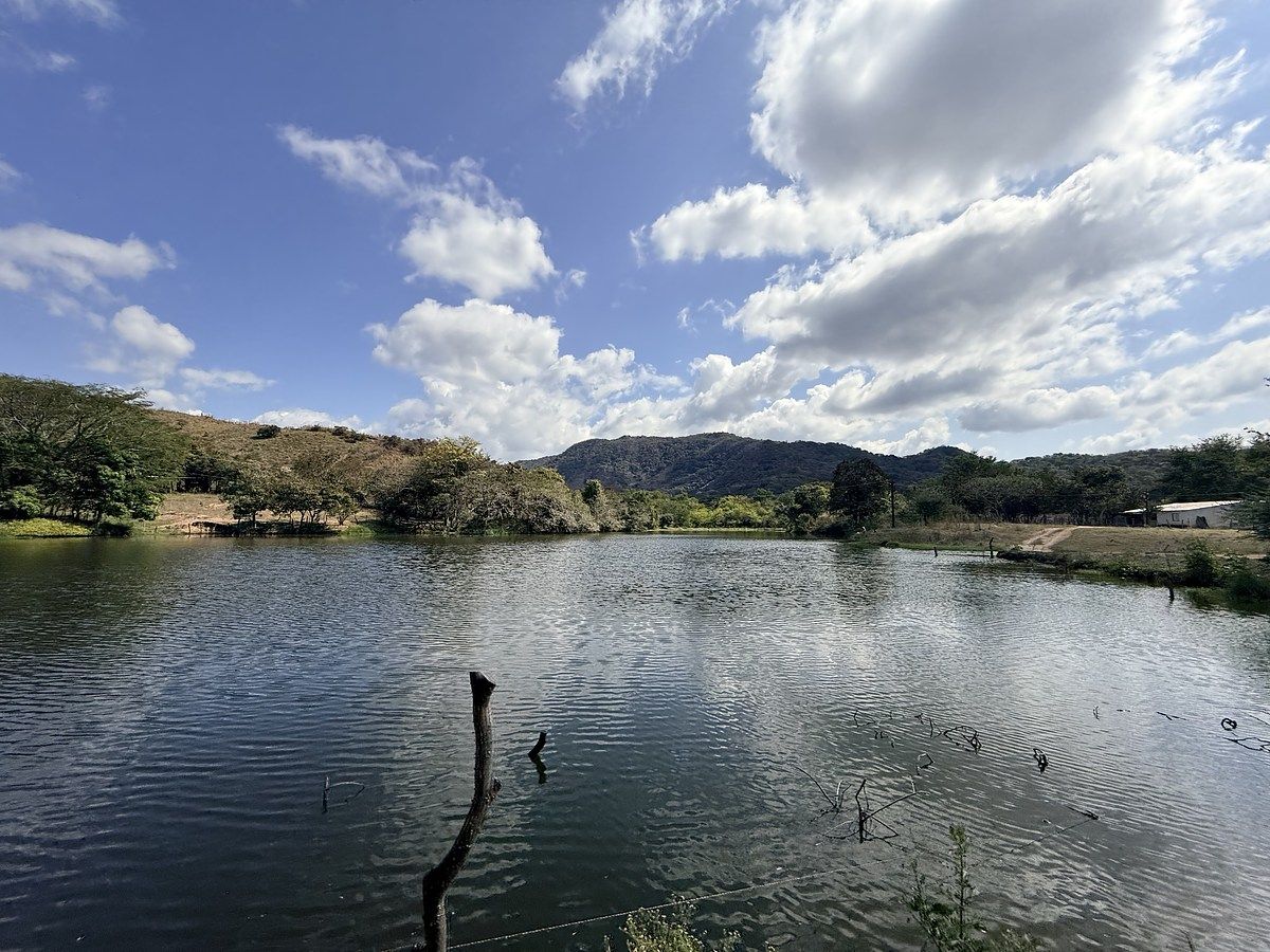 Fazenda em Úrsulo Galván, Villaflores, foto 24 de 50