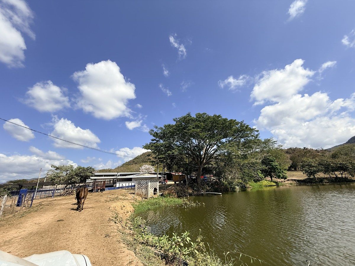Fazenda em Úrsulo Galván, Villaflores, foto 28 de 50