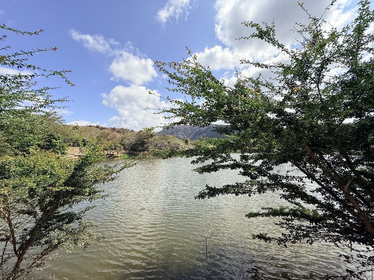 Fazenda em Úrsulo Galván, Villaflores, foto 27 de 50