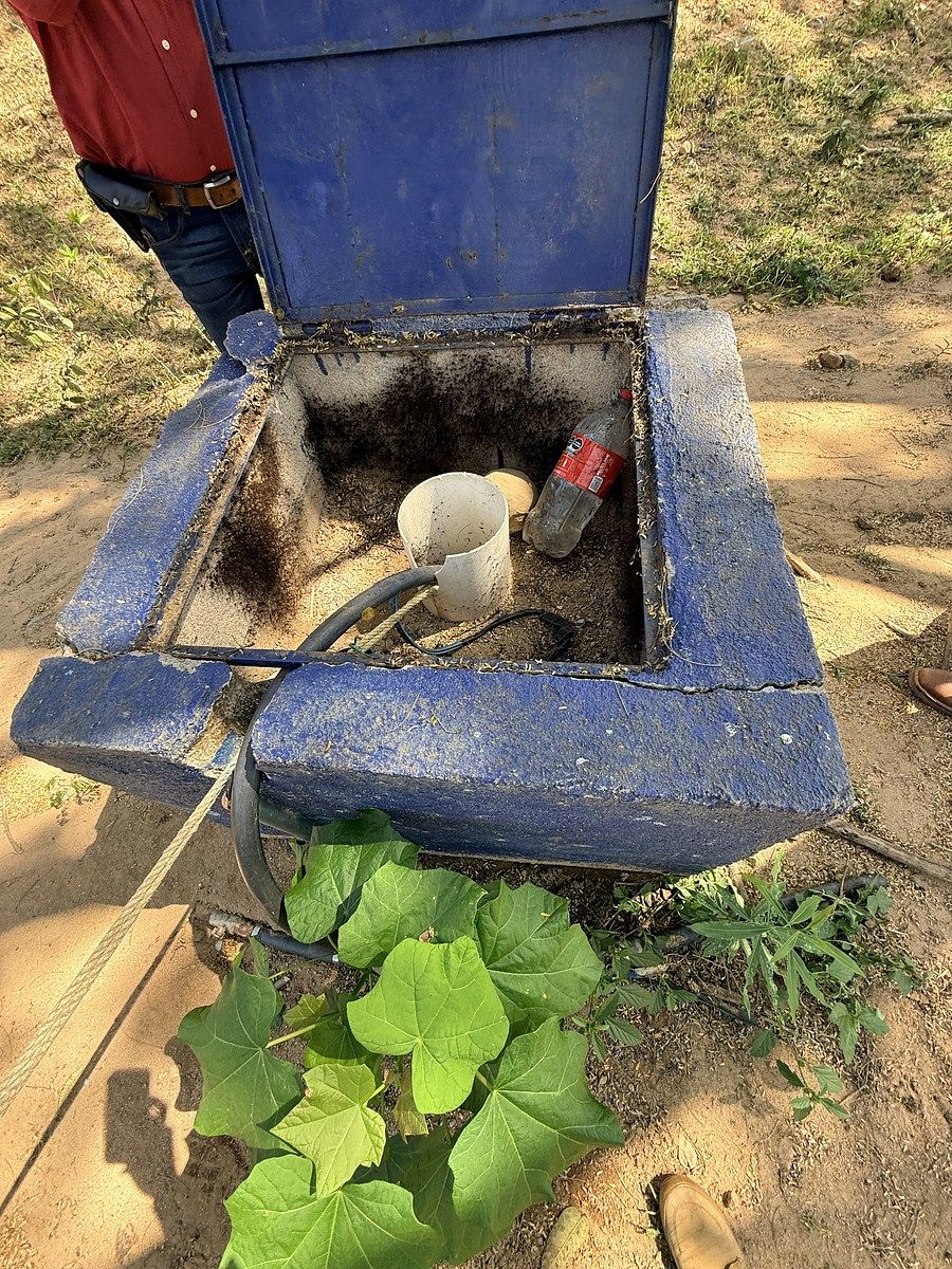Fazenda em Úrsulo Galván, Villaflores, foto 31 de 50