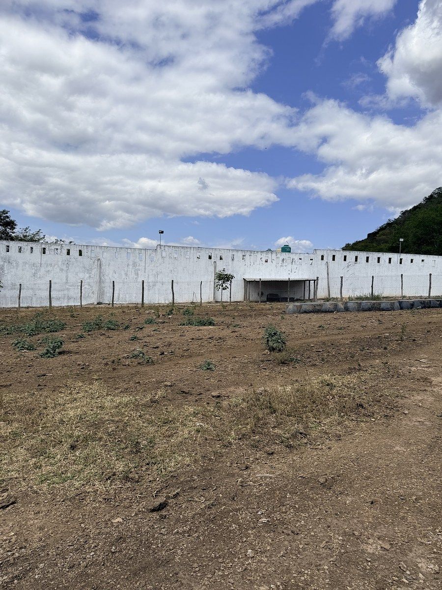 Fazenda em Úrsulo Galván, Villaflores, foto 32 de 50