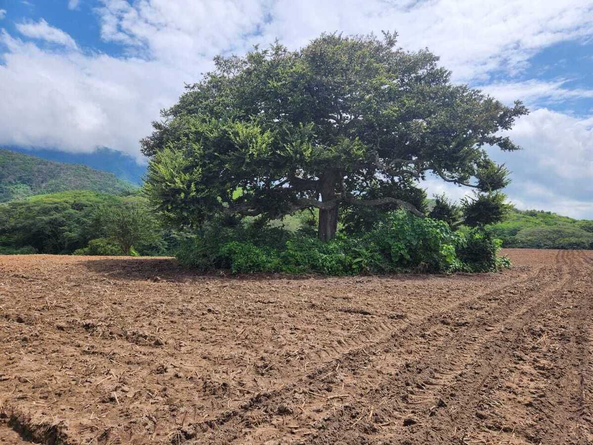 15 de 40