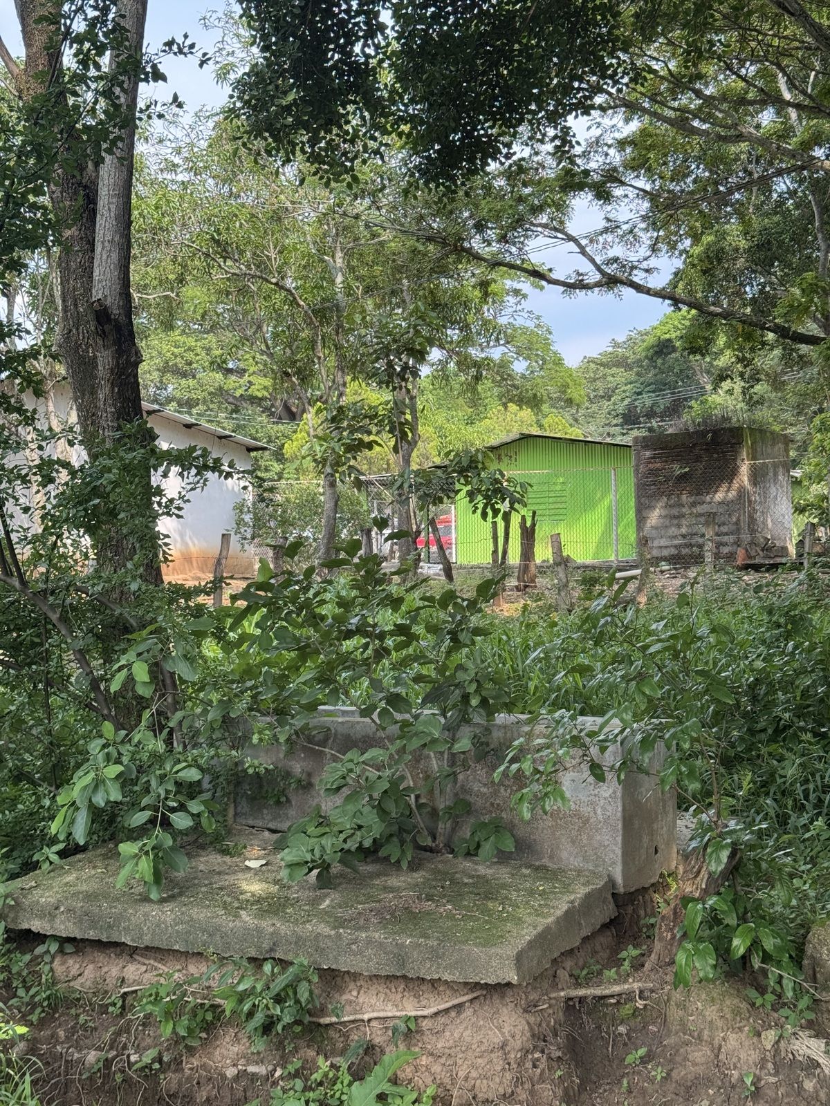 34 de 40