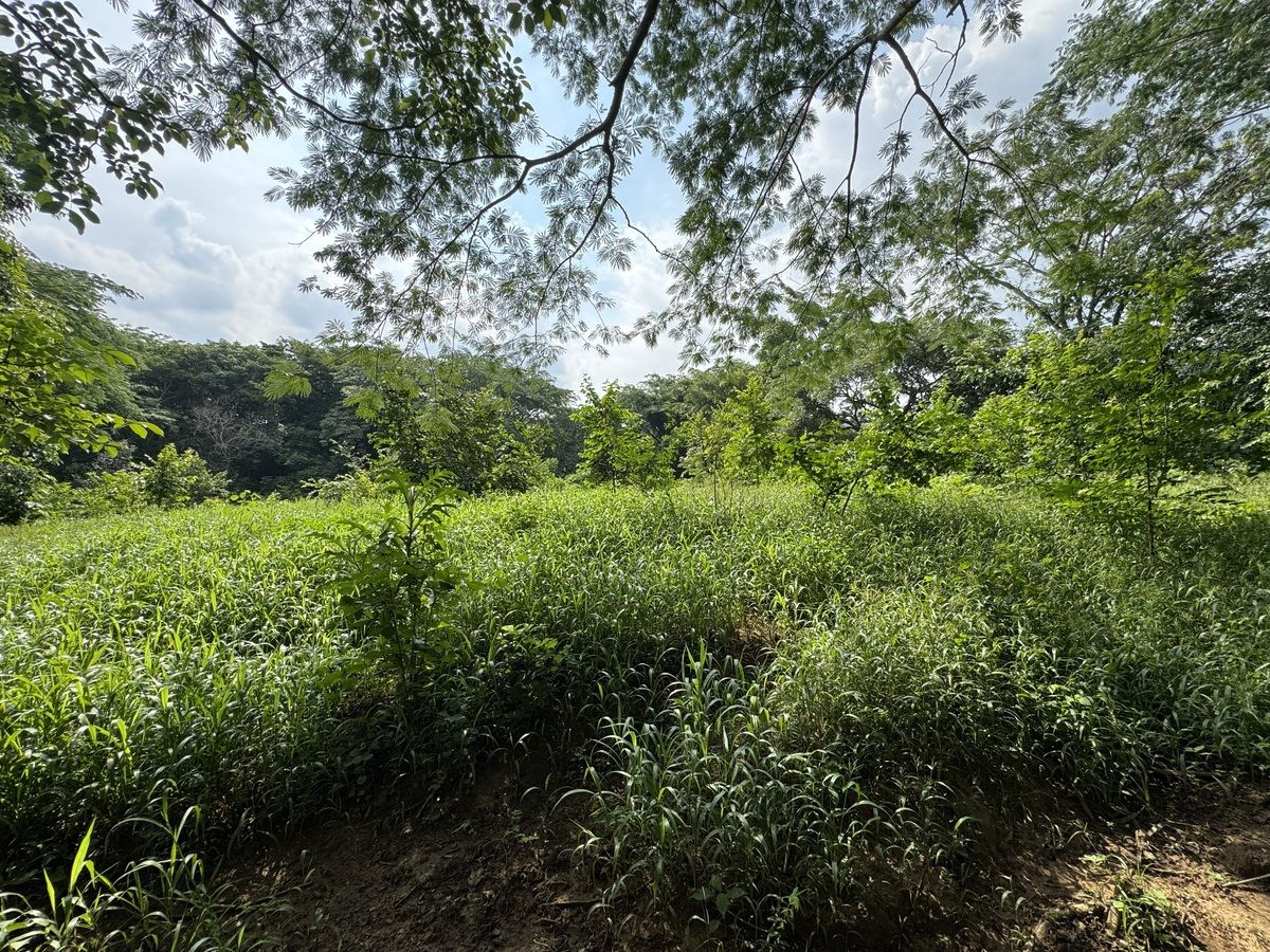 38 de 40