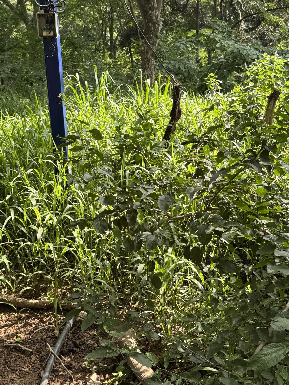 40 de 40
