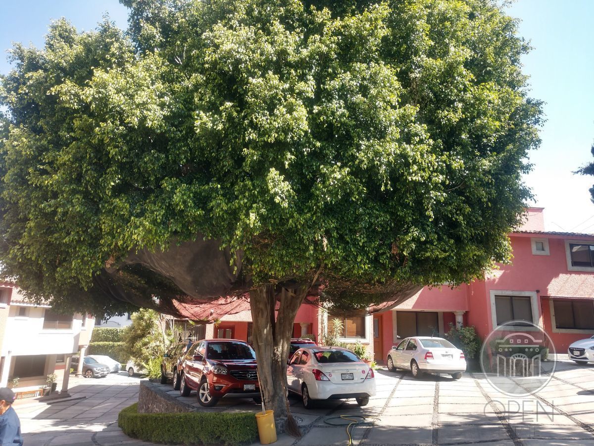2 de 31