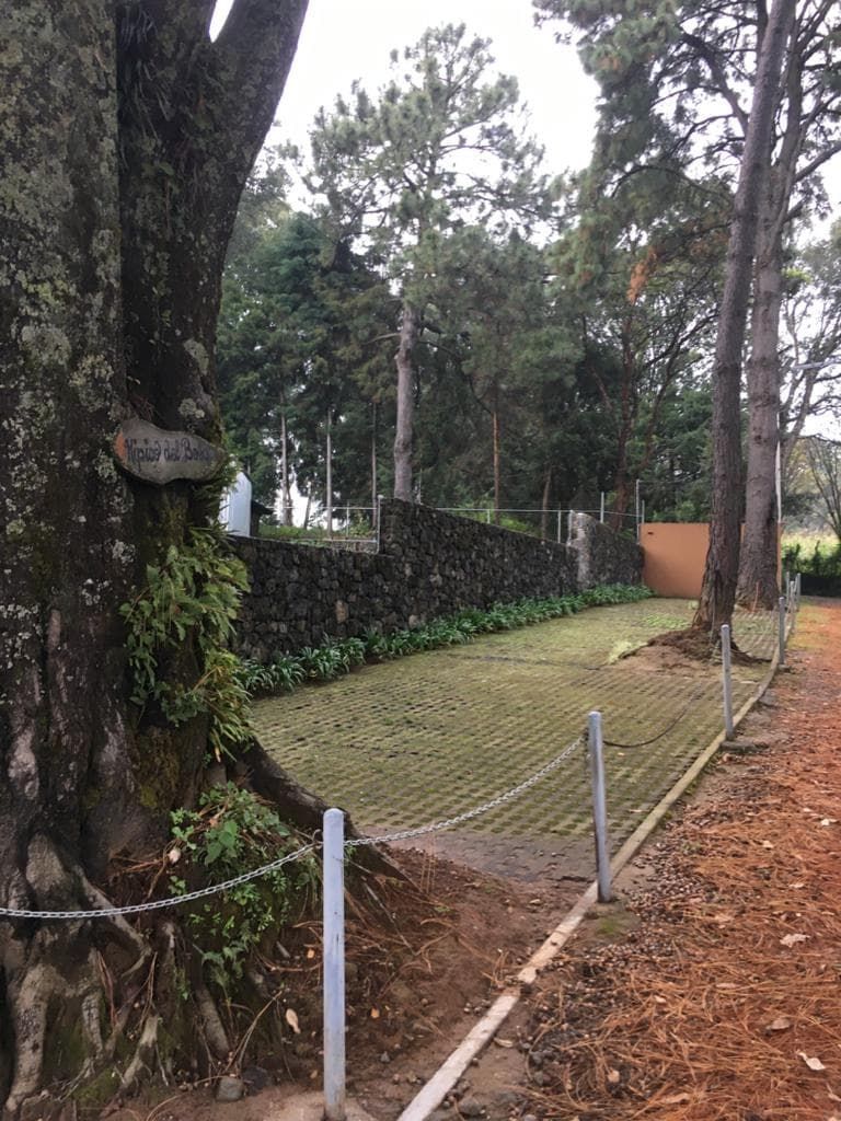 29 de 39