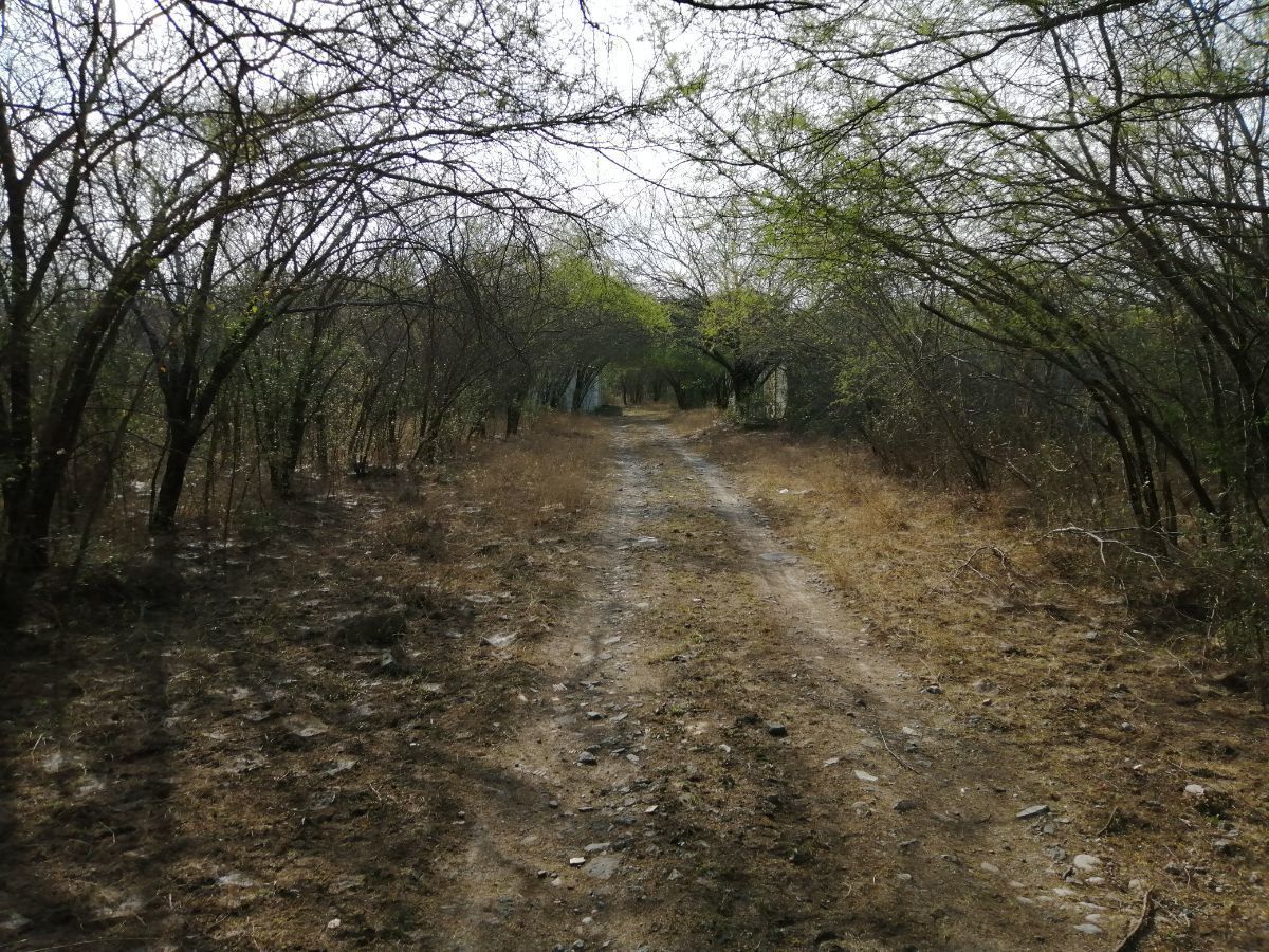 Terrenos campestres las arboledas