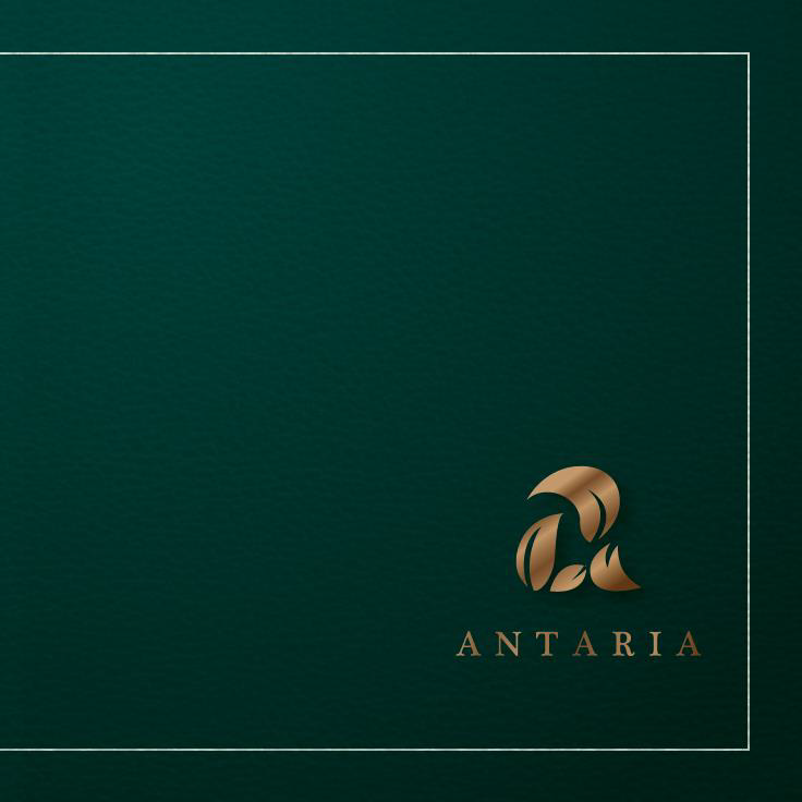 1 de 18: Antaria