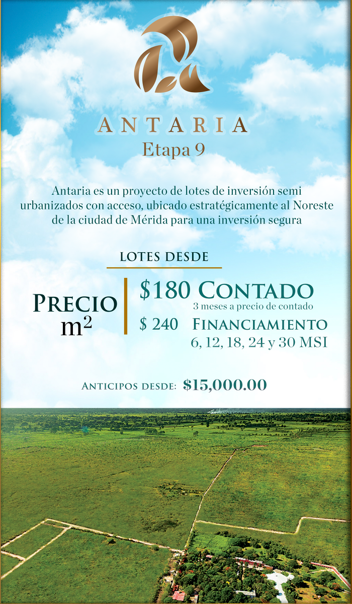 6 de 18: Precios