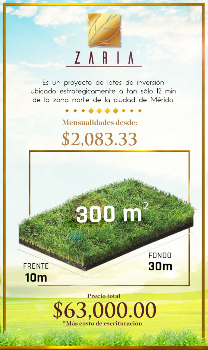 4 de 7: Medidas desde 300m2