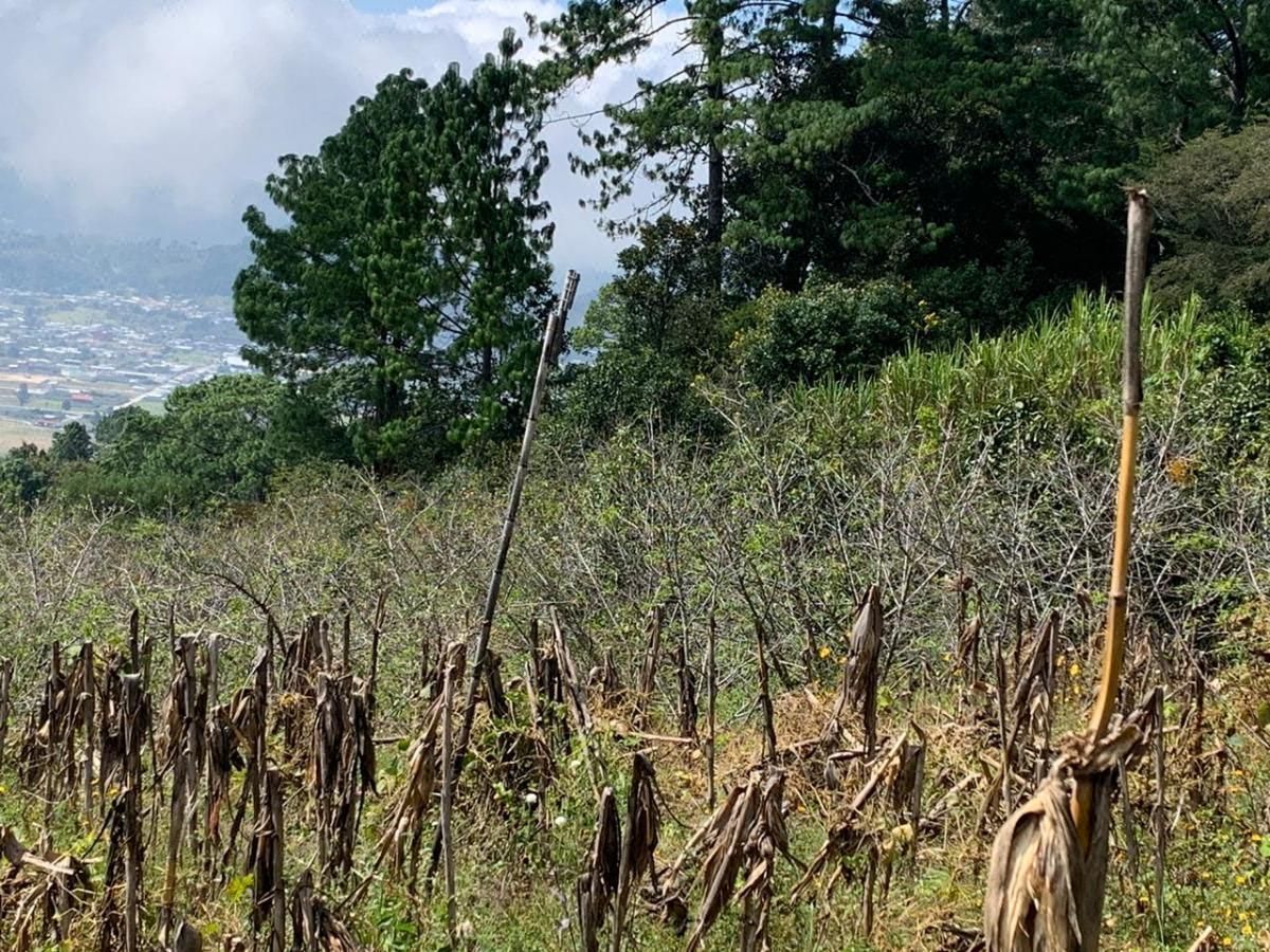 Terreno en venta en Teopisca