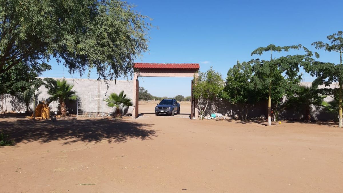2 de 24