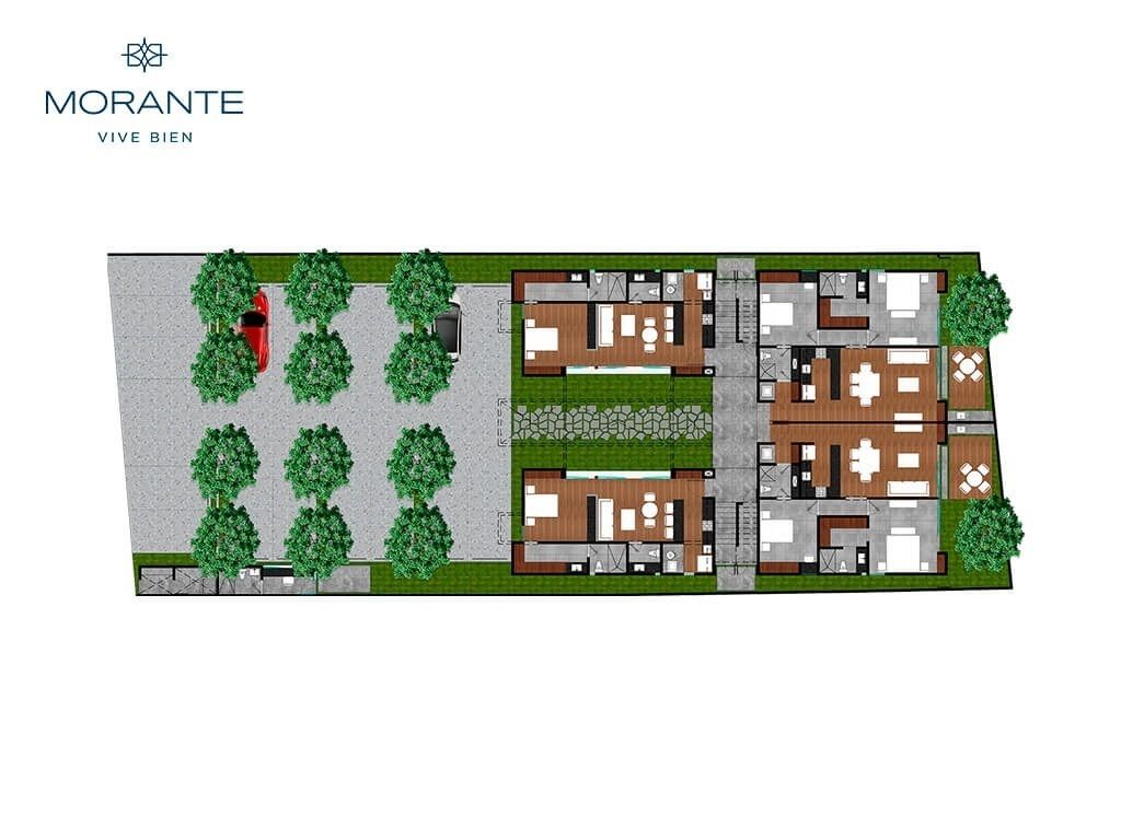 3 de 8