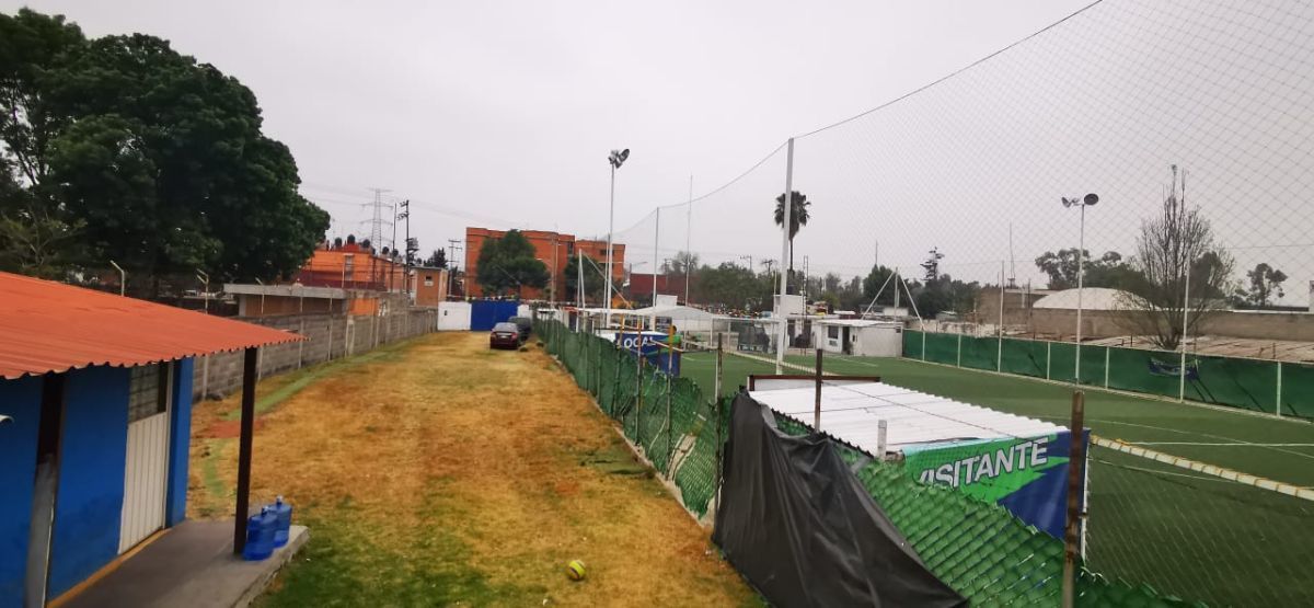 Imagen 4 de 7