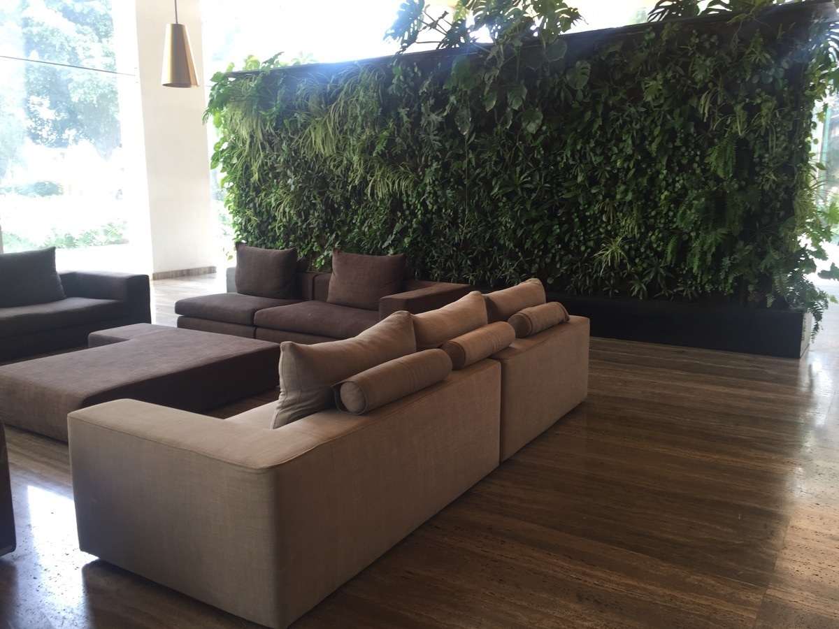 22 de 47: lobby