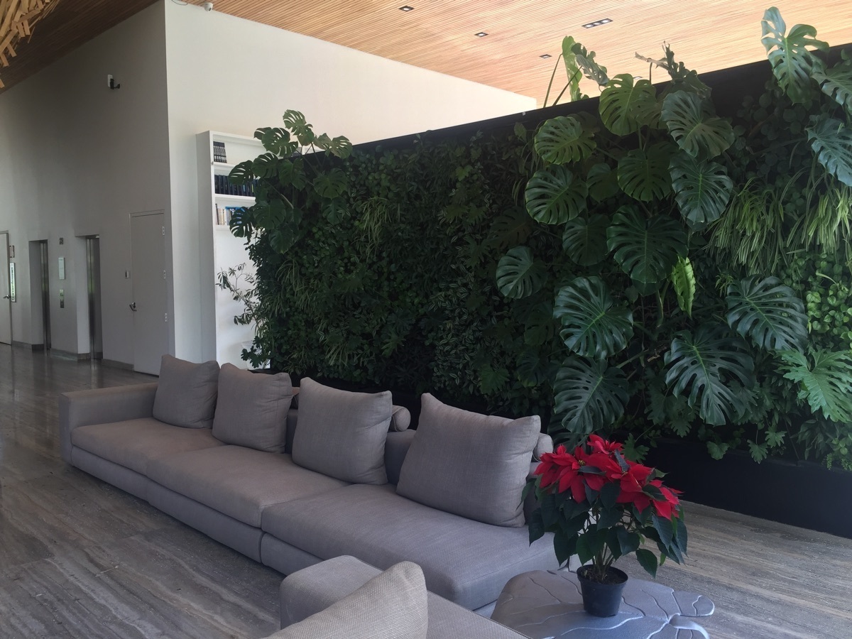 25 de 47: lobby