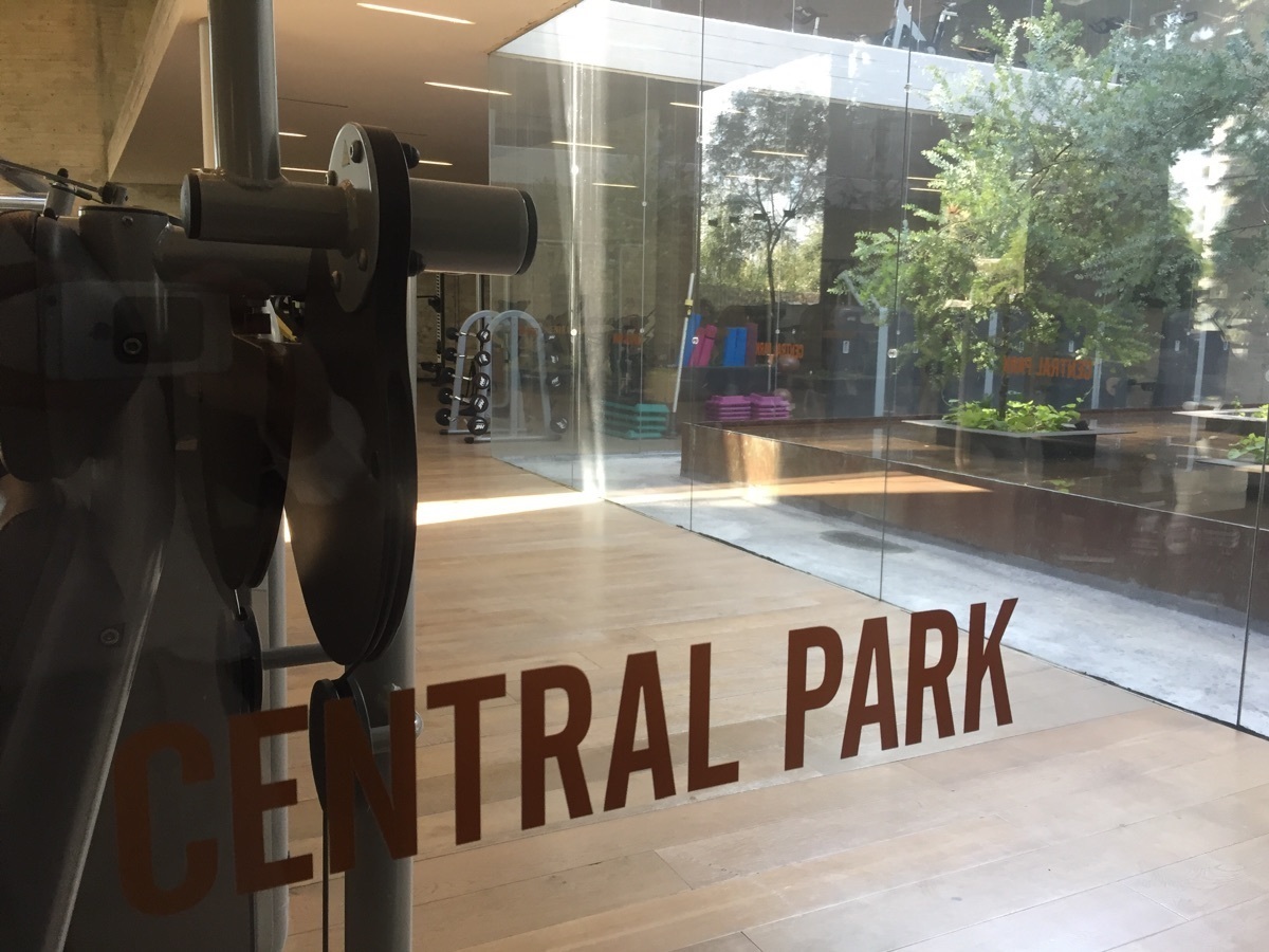 32 de 47: gimnasio