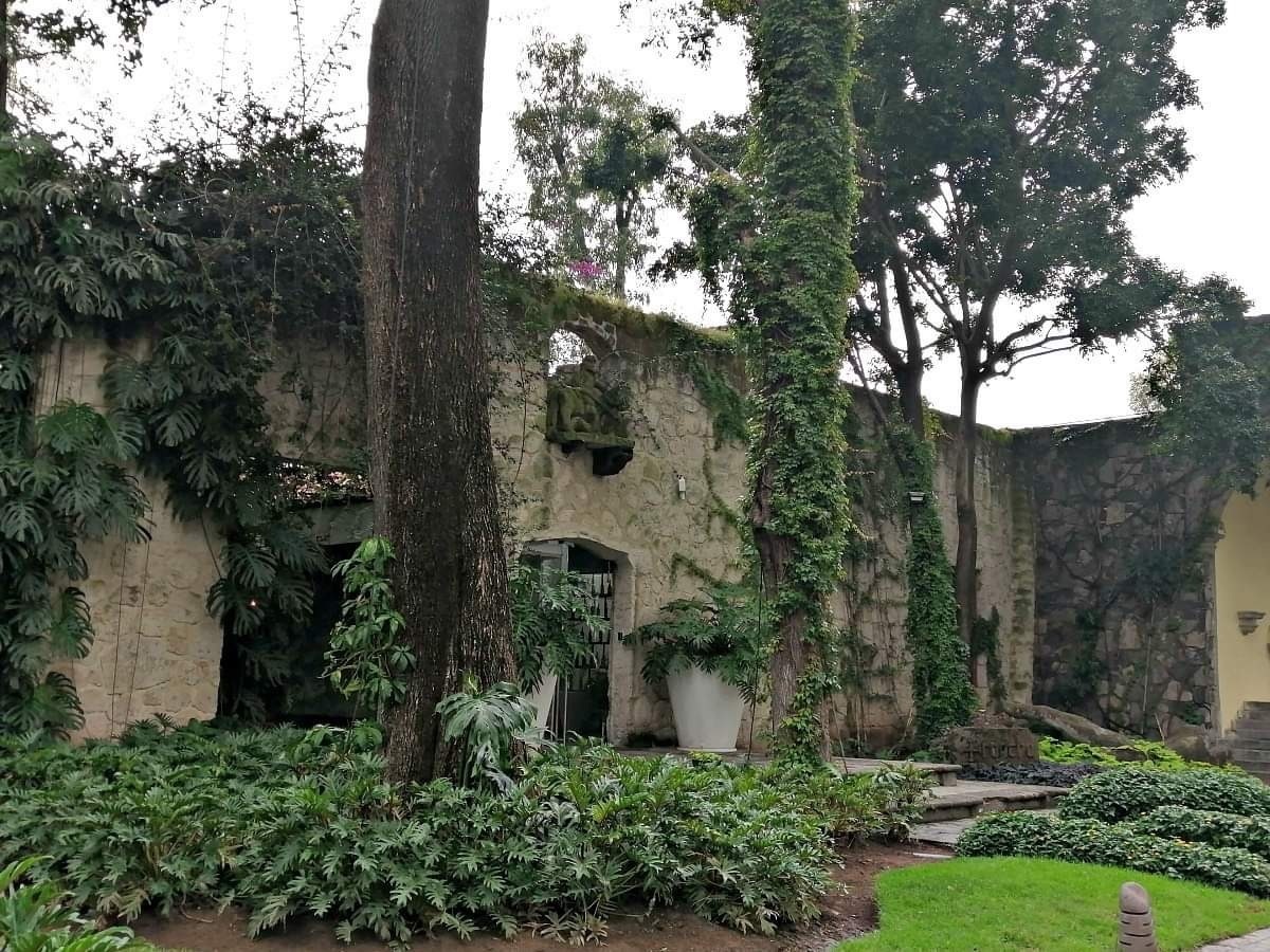 41 de 47: jardin arbolado