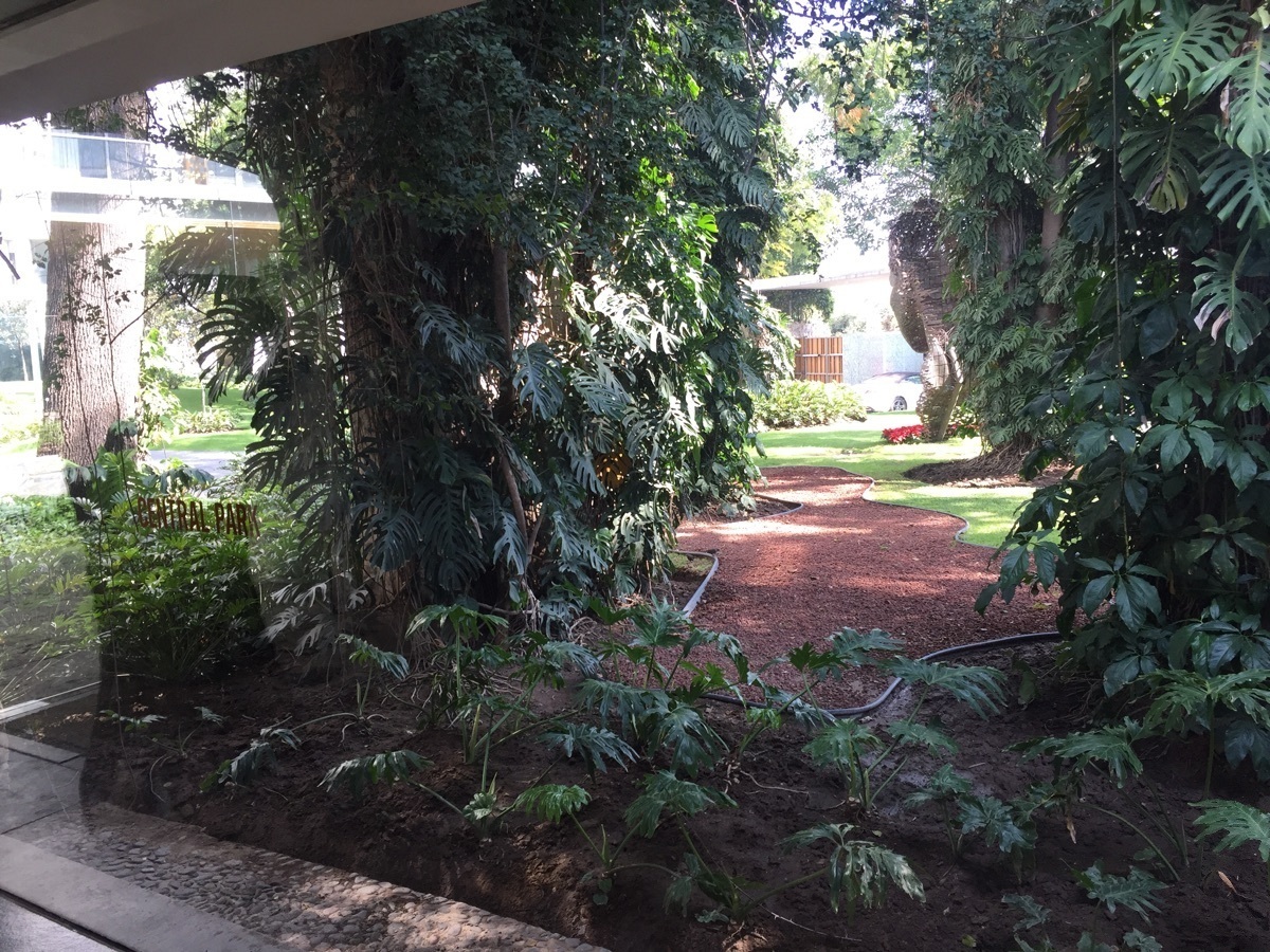 47 de 47: jardines