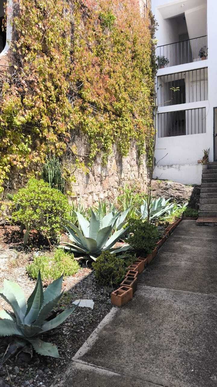 12 de 12