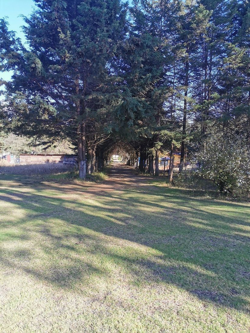 2 de 8