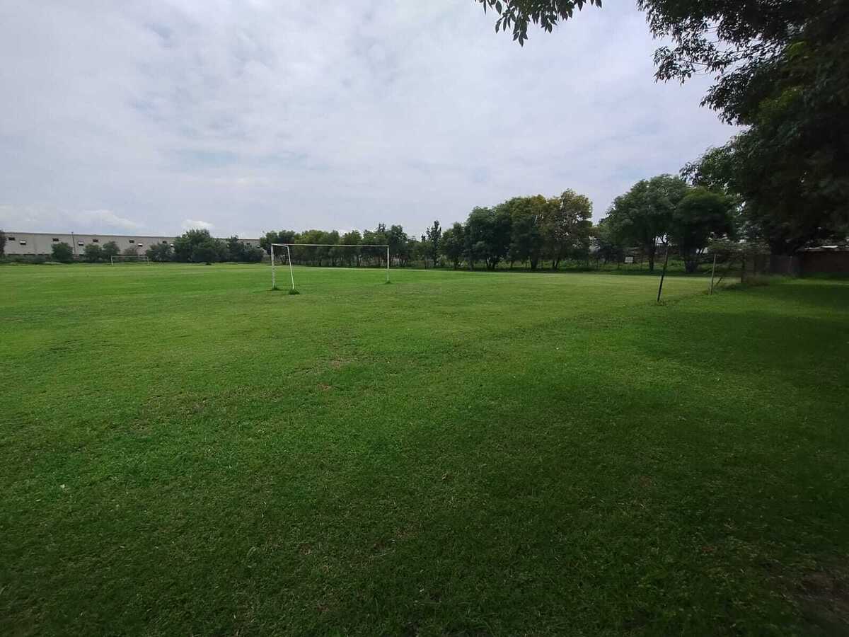 2 de 11