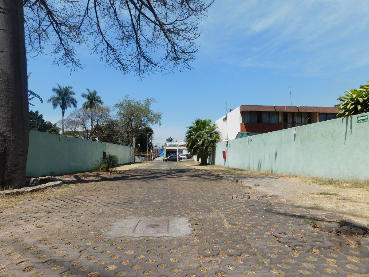 4 de 8