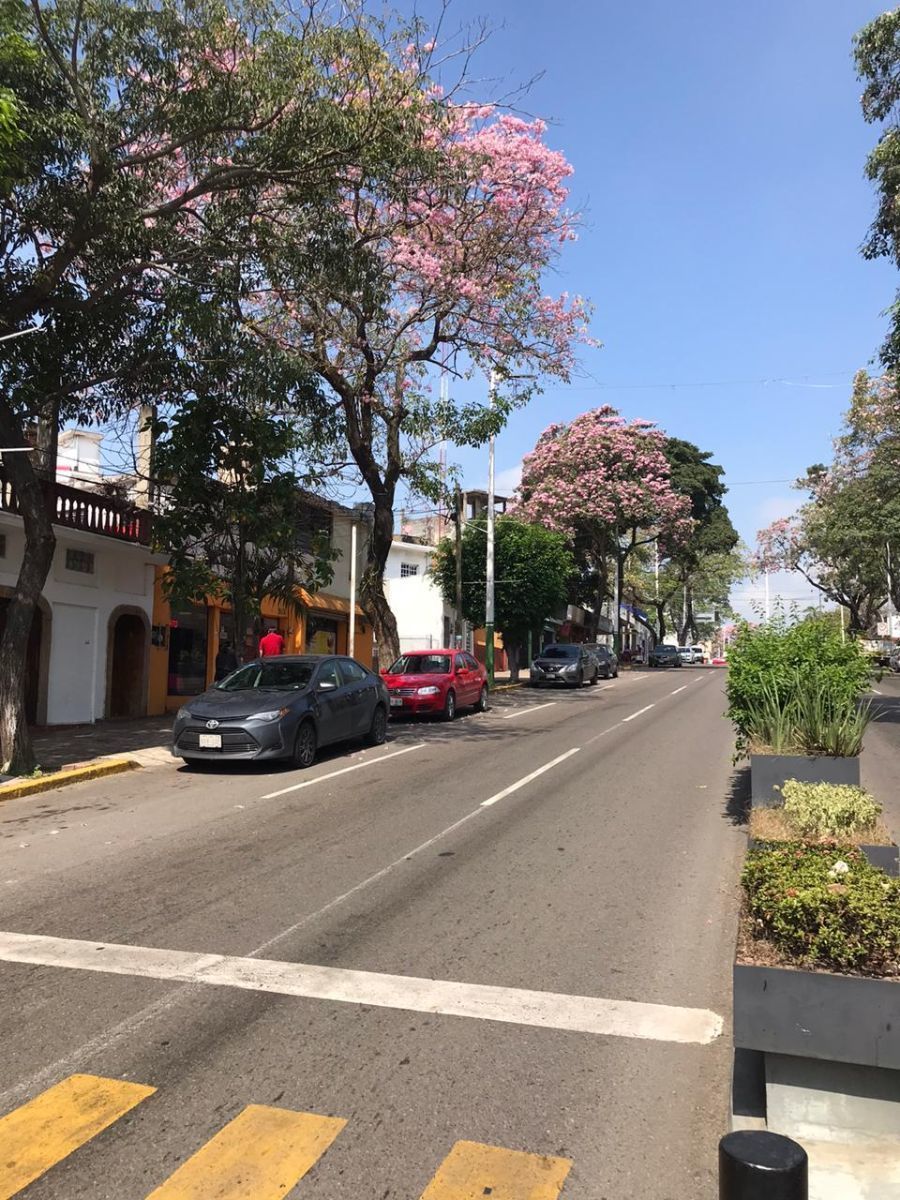 3 de 3