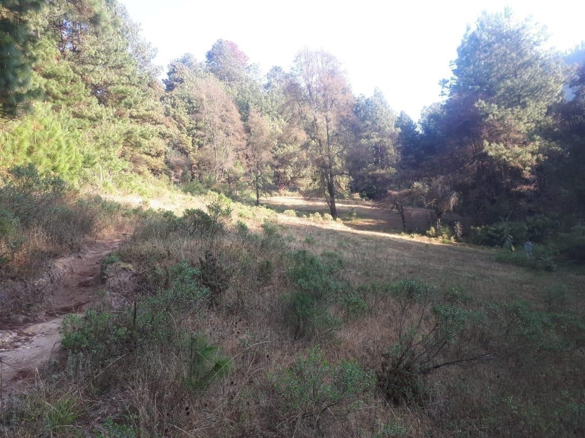 1 de 11